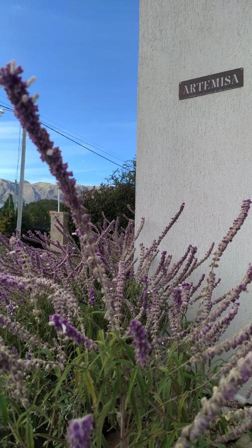 Casa Artemisa Villa Merlo Dış mekan fotoğraf